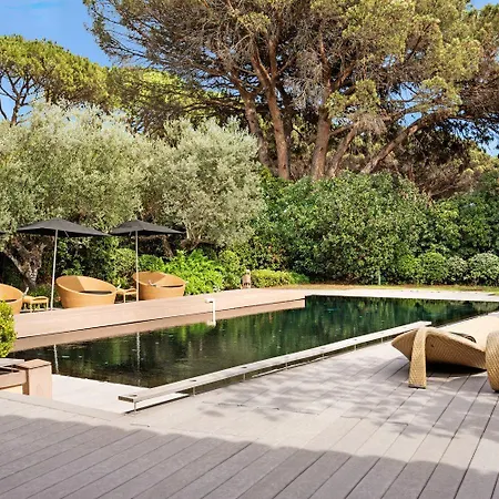 Exclusive Modern In