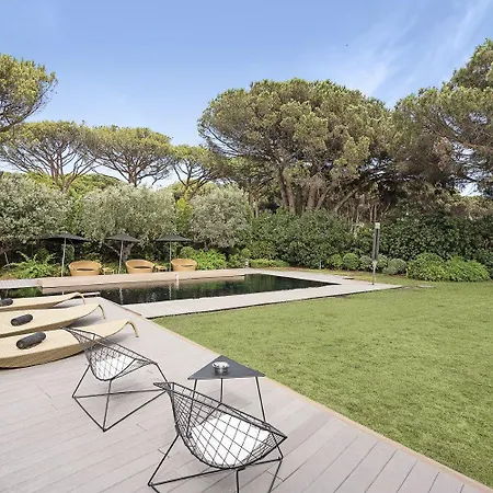 Exclusive Modern In