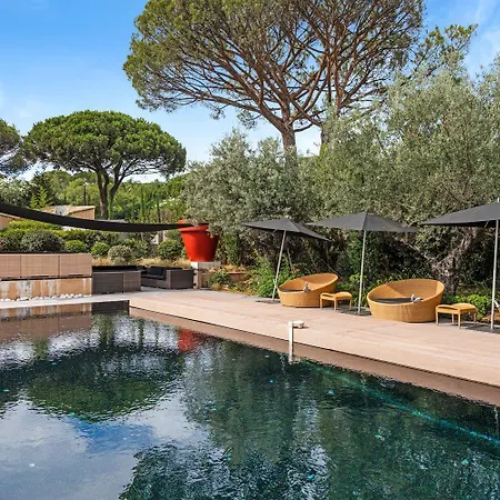 Exclusive Modern In